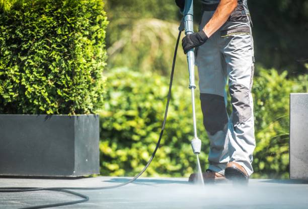 Best Roof Washing  in Fairview Heights, IL